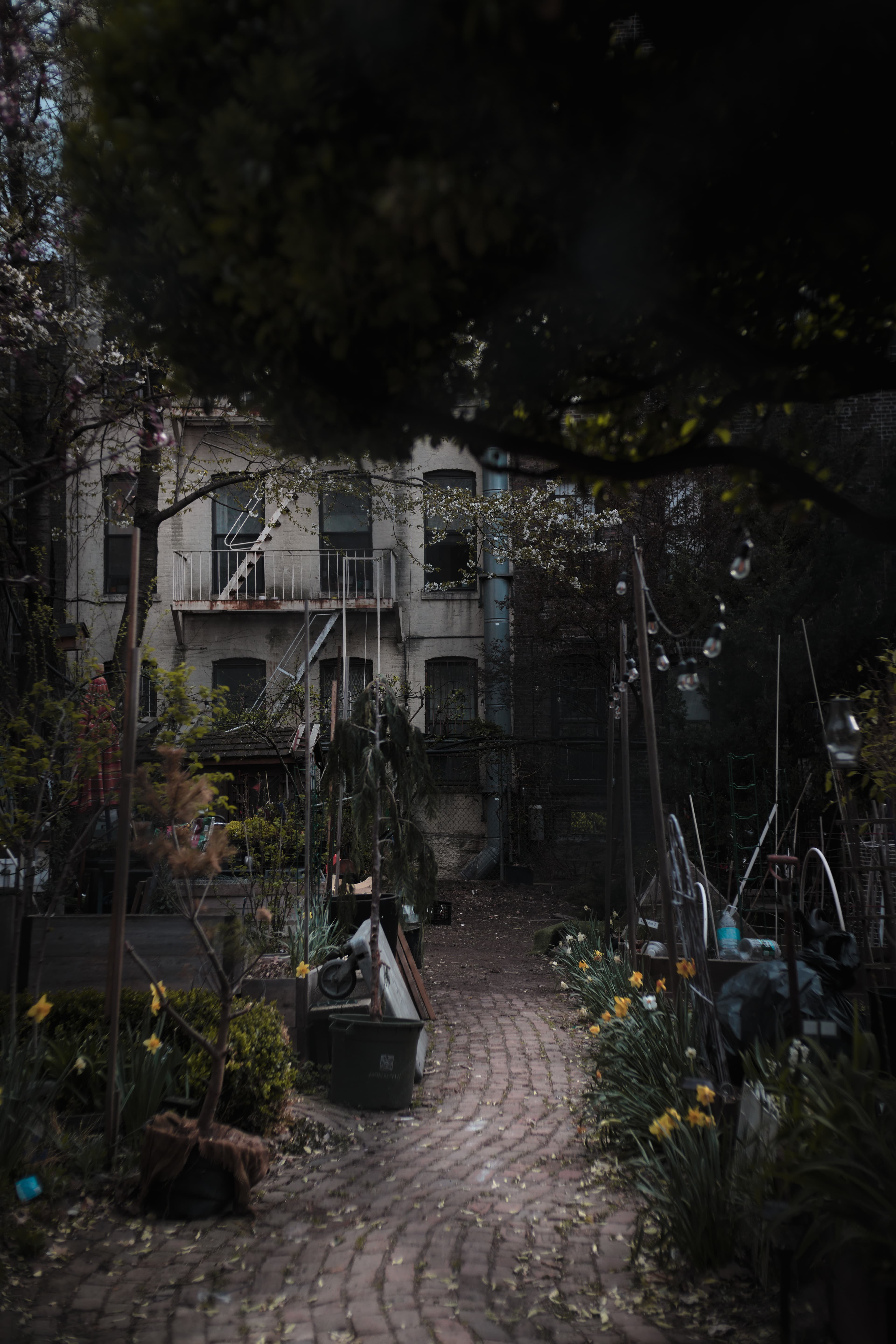 Garden in New York City, US